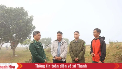 ह्मोंग लोग पूरे दिल से पार्टी का अनुसरण करते हैं - ऊंचे पहाड़ों से बेहतर जीवन की आकांक्षा (भाग 2): "स्वर्ग के द्वार" की ढलानों के पीछे "लाल बीज"