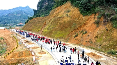 Over 1,000 athletes participated in the "Bac Me - Connecting Steps" charity race to celebrate the 14th National Congress of the Communist Party of Vietnam.