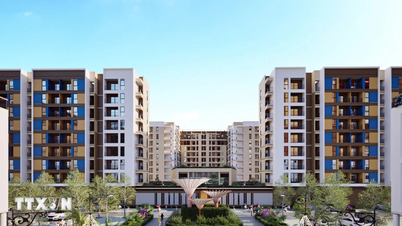 Complete the guidelines on social housing policy under the Population Law before May 15th.