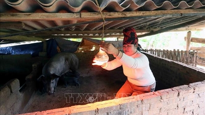 सोन ला में भीषण ठंड और पाले की चेतावनी।