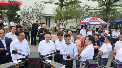 Ho Chi Minh City: Approval of the new phase of the city's Technology Exchange Platform project.