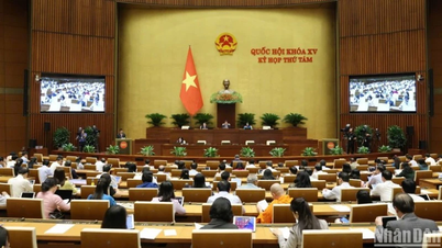 La Asamblea Nacional de Vietnam: un viaje de continuidad entre la tradición y la innovación.