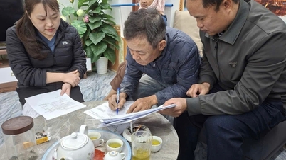 Die Gemeinde Kim Thanh hat die Rodung des Geländes für das Wohngebiet Phong Noi abgeschlossen.