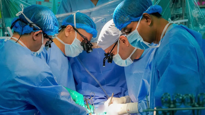 Hai sự sống hồi sinh cùng lúc từ một nguồn hiến tạng