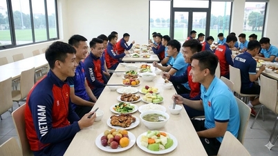 Chế độ dinh dưỡng “siêu đặc biệt” cho VĐV chuẩn Olympic từ 2026