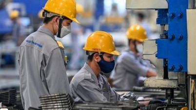 Việt Nam có gần 300.000 doanh nghiệp mới năm 2025