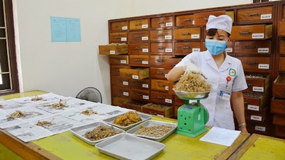 Reglamento sobre la prescripción de medicamentos tradicionales y remedios herbales.