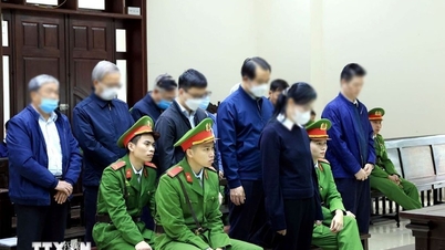 Předseda společnosti Phuc Son Group je v Khanh Hoa souzen v kauze nesrovnalostí souvisejících s pozemky.