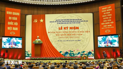 Académico indio: La Asamblea Nacional de Vietnam es un pilar de la estabilidad política y el crecimiento.