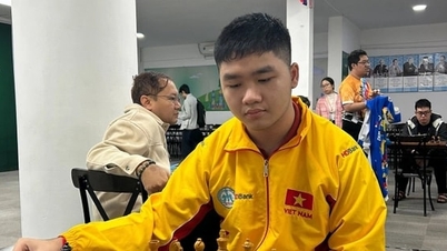 Hanoi International Chess Tournament har två spelare som har uppnått titeln internationell mästare.