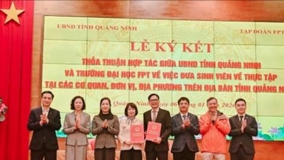 ខេត្តក្វាងនិញពន្លឿនការអនុវត្តសេចក្តីសម្រេចលេខ 57-NQ/TW ដោយសារកងកម្លាំងគាំទ្រពិសេស។