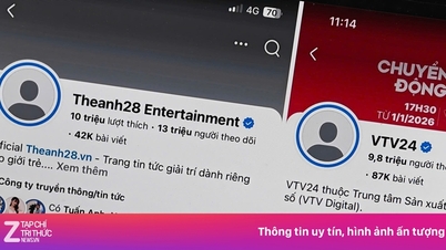 Facebook thừa nhận lỗi lớn khiến Thế Anh 28, Tuyền Văn Hóa 'bay màu'