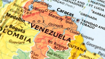 Ai đang đầu tư vào Venezuela?