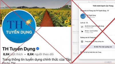 Cảnh báo tình trạng giả mạo tuyển dụng Tập đoàn TH trên mạng xã hội