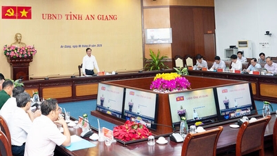 An Giang sẽ bắn pháo hoa tại 3 điểm đêm Giao thừa Tết Bính Ngọ 2026