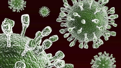 Trẻ em Hải Phòng dưới 1 tuổi được uống vaccine Rota miễn phí từ năm 2026