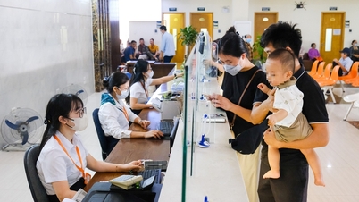 Roadmap for universal free hospital care starting in 2026: Implementation in 3 phases.