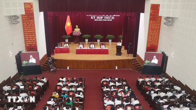 Nghe An: Menyelesaikan semua petisyen pengundi yang tertunggak sebelum 30 Januari.