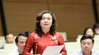 Dang Bich Ngoc, stellvertretende Leiterin der Ständigen Delegation der Nationalversammlung der Provinz Phu Tho: Schaffung von Institutionen für die nationale Entwicklung im neuen Zeitalter.
