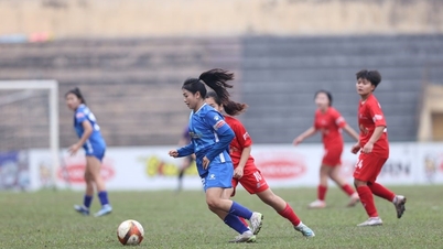 2026년 전국 U19 여자 축구 선수권 대회에는 5개 팀이 참가할 예정입니다.