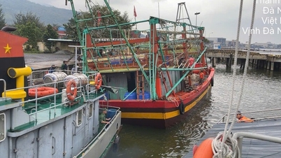 Da Nang Border Guard officers promptly rescued 6 fishermen from a fishing boat that was taking on water.