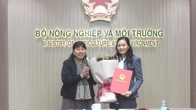 Bà Trần Thị Hòa giữ chức Phó Vụ trưởng Vụ Tổ chức cán bộ Bộ NN-MT