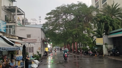 La ciudad de Ho Chi Minh continúa experimentando fuertes lluvias fuera de temporada.