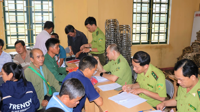 Plus de 1 100 hectares de terres ont reçu des codes de plantation forestière pour les matières premières dans les deux communes de Khánh Hòa et Phúc Lợi.