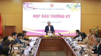 Kỳ vọng xuất khẩu nông lâm thủy sản năm 2026 đạt trên 73 tỷ USD