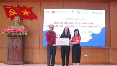 Die australische Regierung stellt über 3 Milliarden VND an Hilfsgeldern für Kinder in Da Nang bereit, die von Naturkatastrophen betroffen sind.