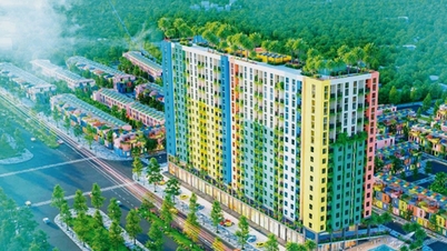 تقوم نينه بينه بتعديل برنامجها لتطوير الإسكان للفترة 2021-2030: إنشاء أساس للتنمية الحضرية المستدامة.