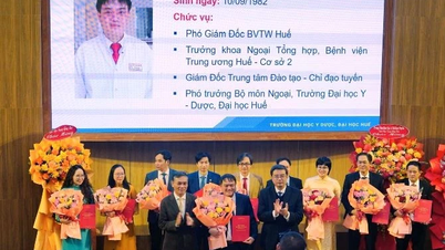 Trường đại học Y-Dược Huế bổ nhiệm 12 tân Giáo sư, Phó Giáo sư năm 2025