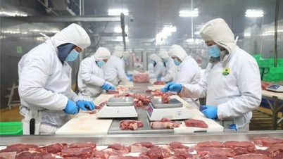 El Año Nuevo Lunar 2026 garantizará el suministro de alimentos.