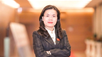 «ជាមួយនឹងមោទនភាព ភ្ជាប់មកជាមួយនឹងការទទួលខុសត្រូវដ៏ធំធេង»។