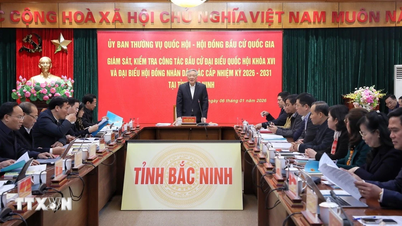 Centralna Grupa Robocza kontroluje i nadzoruje prace wyborcze w Bac Ninh.