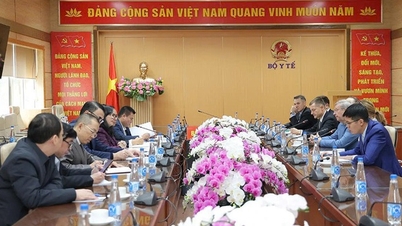 Minister Dao Hong Lan receives the Chairman of AFK Sistema Group of Russia.