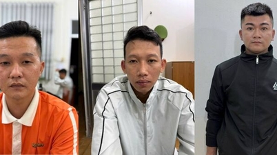 회사 손실액이 17억 VND를 넘는 피해를 입힌 직원 3명이 기소되었습니다.