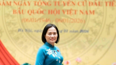 National Assembly Deputy Tran Thi Kim Nhung, working full-time at the Committee on Law and Justice, and representing Quang Ninh province: The weight of the word "representative," the sacred entrustment from the voters.