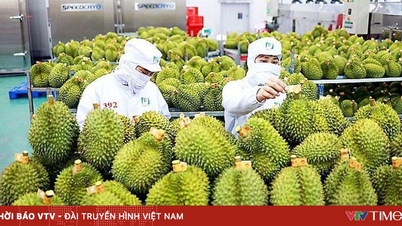 農林水産物の輸出額は2026年に730億～740億米ドルに達すると予想されている。