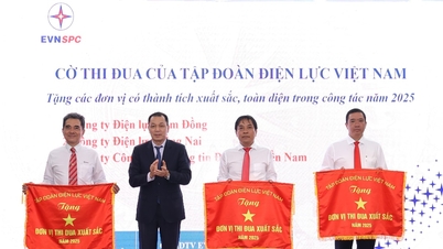 EVNSPC successfully overcame difficulties and excellently completed its tasks in 2025.