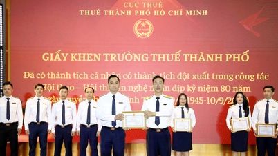 Departamento de Impuestos de la ciudad de Ho Chi Minh: Adaptándose proactivamente a nuevos modelos, creando una gestión fiscal moderna.