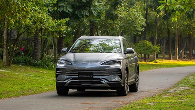 BYD Vietnam, 2026 yılının başlarında kayıt ücretlerini düşürüyor ve ücretsiz şarj cihazları ve aksesuarlar sunuyor.