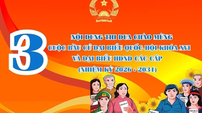 Три напрямки наслідування для святкування обрання депутатів 16-го скликання Національних зборів та депутатів Народних рад усіх рівнів (термін 2026-2031 років)