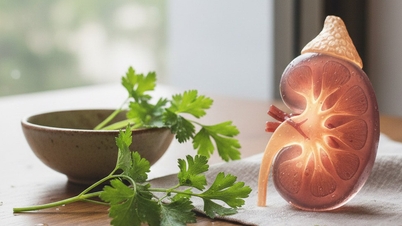 Thận yếu: Uống nước rau mùi tây liệu có tốt?