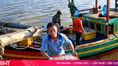 Hải sản tiêu thụ tốt, tiếp thêm động lực cho ngư dân Hà Tĩnh bám biển