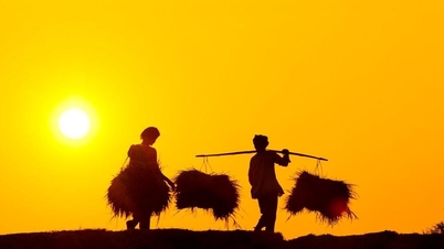 Ngân hàng rao bán khoản nợ liên quan Tập đoàn Lộc Trời