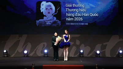 Famosa cantante vietnamita gana prestigioso premio en Corea del Sur.