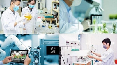 Vietnam strebt an, bis 2030 mehrere erstklassige Forschungszentren zu haben.