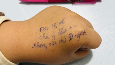 Preocupada de que su hijo pudiera confundirse durante el examen, una madre escribió hojas de trucos en la mano de su hijo, para diversión de los internautas.