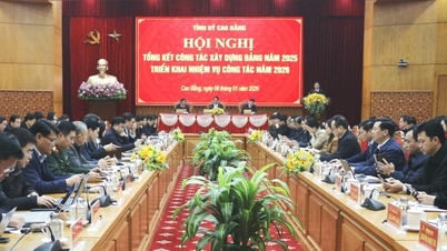 Le secrétaire provincial du Parti, Phan Thăng An : Continuez à renforcer la discipline et l’ordre au sein du Parti et à améliorer la qualité du travail consultatif.